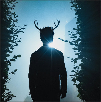 NEW! Realistic Christmas Doe / Deer Antlers Horns 3D Printed ( Oliver-Saltburn) Reindeer Antlers comic-con Lottie the antler queen