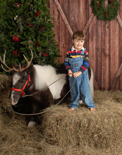 NEW ARRIVAL! Horse Pony halter Reindeer antlers Deer Antlers  3D Printed (Ultra Light Weight Plastic) horned halter attachment Antlers