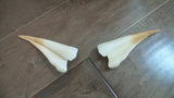 Elven elf ears 3d printed horns on headband DIY costume addition dragon ears  woodland cosplay fantasy ears long elf ears leprechaun ears - Mud And Majesty