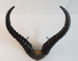 DIY Gazelle horned crown Elvish Larp headdress Helment horns 3D print - Mud And Majesty