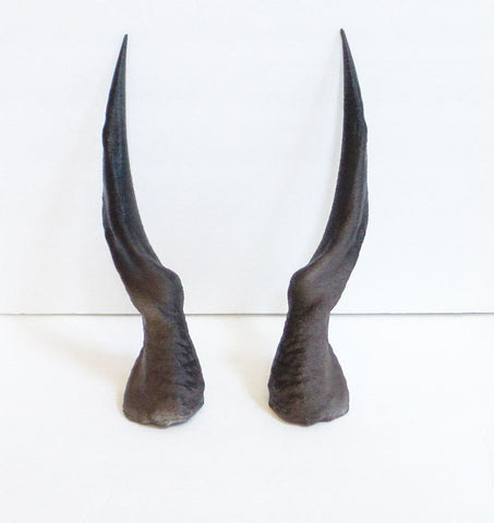 DIY Spiral Antelope horns for cosplay Larp headdress Helment horns 3D print unmounted twisted horns - Mud And Majesty