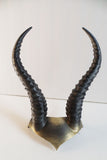 DIY Gazelle horned crown Elvish Larp headdress Helment horns 3D print - Mud And Majesty